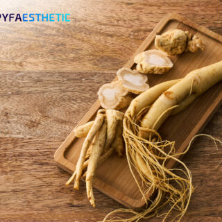 Kandungan dan Manfaat Ginseng
