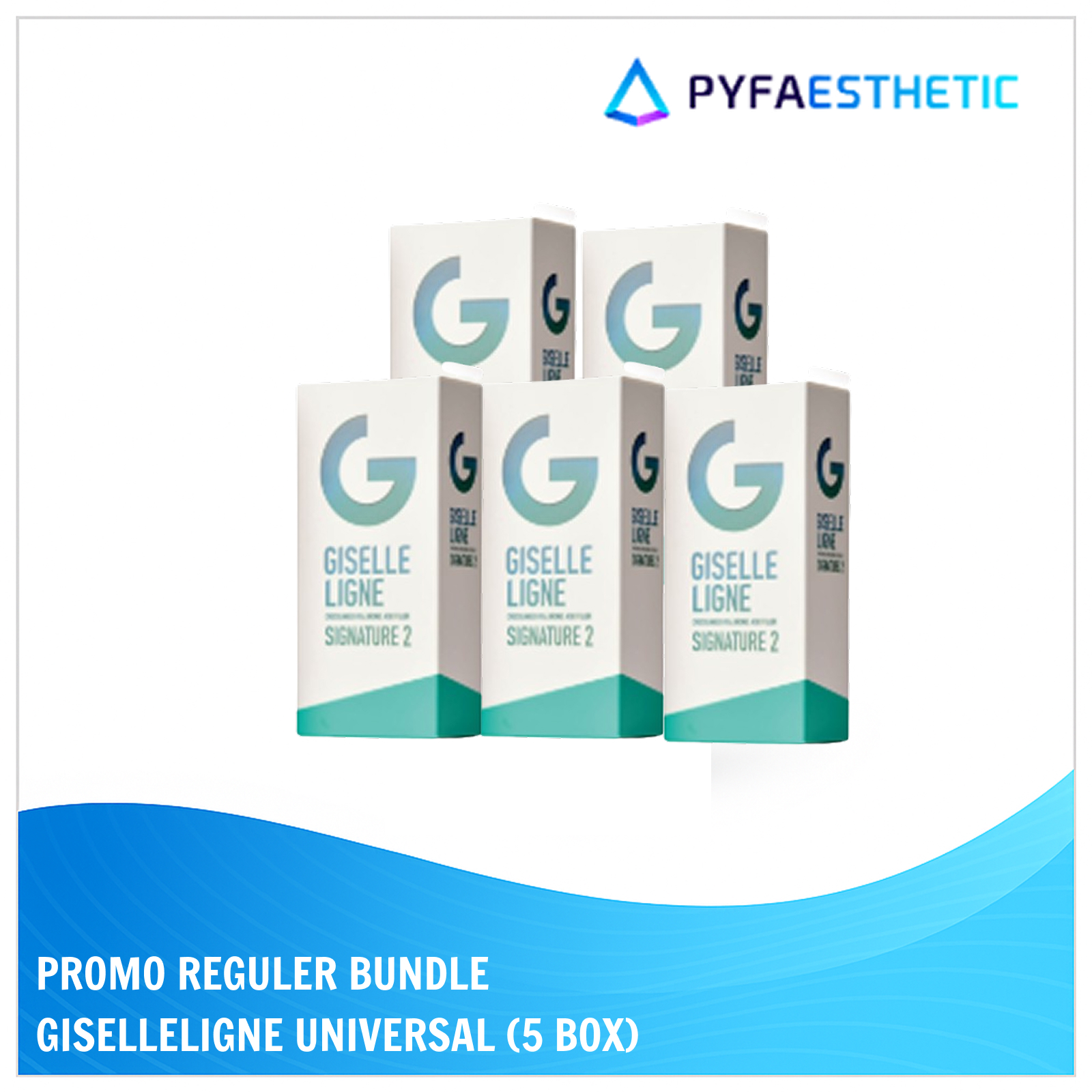 [PROMO REGULER] BUNDLE GISELLELIGNE SIGNATURE II (5 BOX)